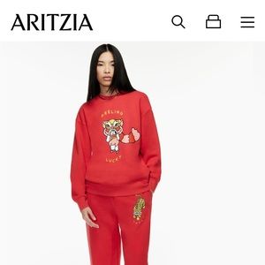 ARITZIA TNA Sweatshirt
